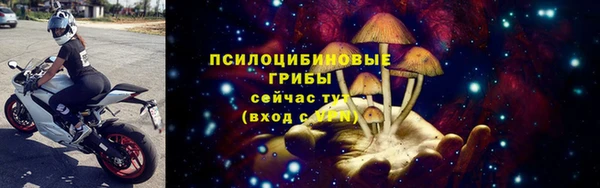стафф Майский
