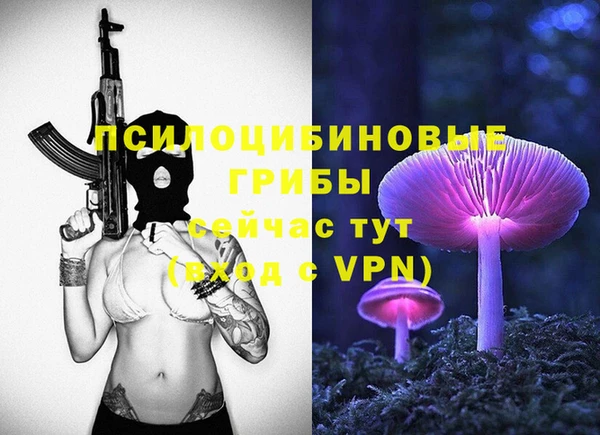 мдпв Магадан