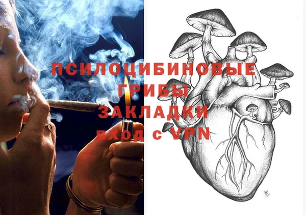 мдпв Магадан