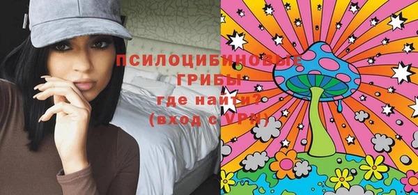 мдпв Магадан