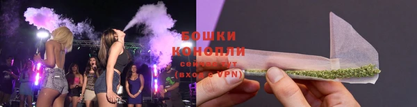 индика Лихославль