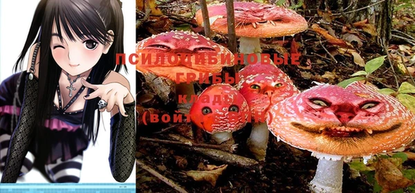 мдпв Магадан