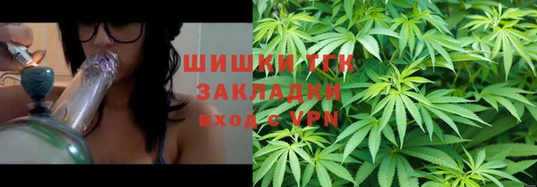 стафф Майский