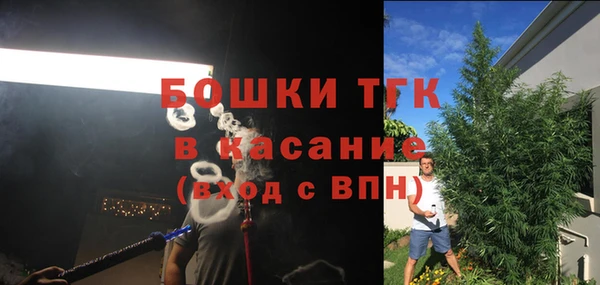 стафф Майский