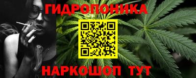 амф Кимры