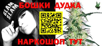 амф Кимры
