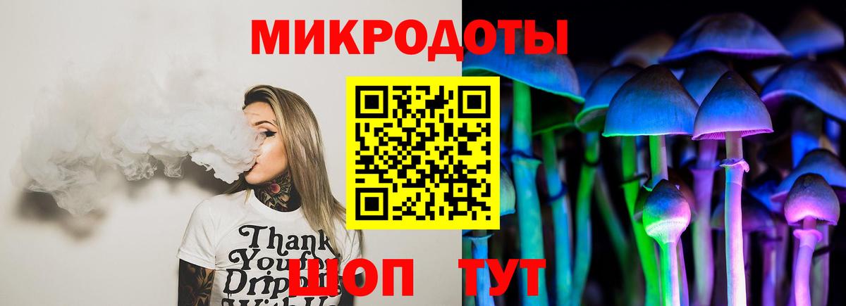 Галлюциногенные грибы Psilocybine cubensis Урус-Мартан